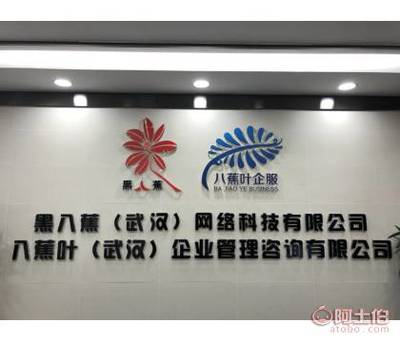 八蕉葉 武漢稅務(wù)代理的專業(yè)伙伴，助力企業(yè)穩(wěn)健成長(zhǎng)
