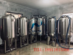 小型啤酒廠釀酒設(shè)備,德國精釀啤酒設(shè)備,2噸自釀啤酒設(shè)備價格