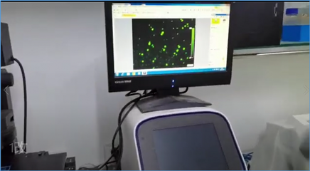合曜生物 | 依托非模式生物自動化改造平臺,聚焦高附加值產(chǎn)品,多款已達量產(chǎn)水平