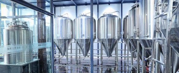 金鯊啤酒設(shè)備 匠心工藝賦能，共促釀酒行業(yè)共贏發(fā)展